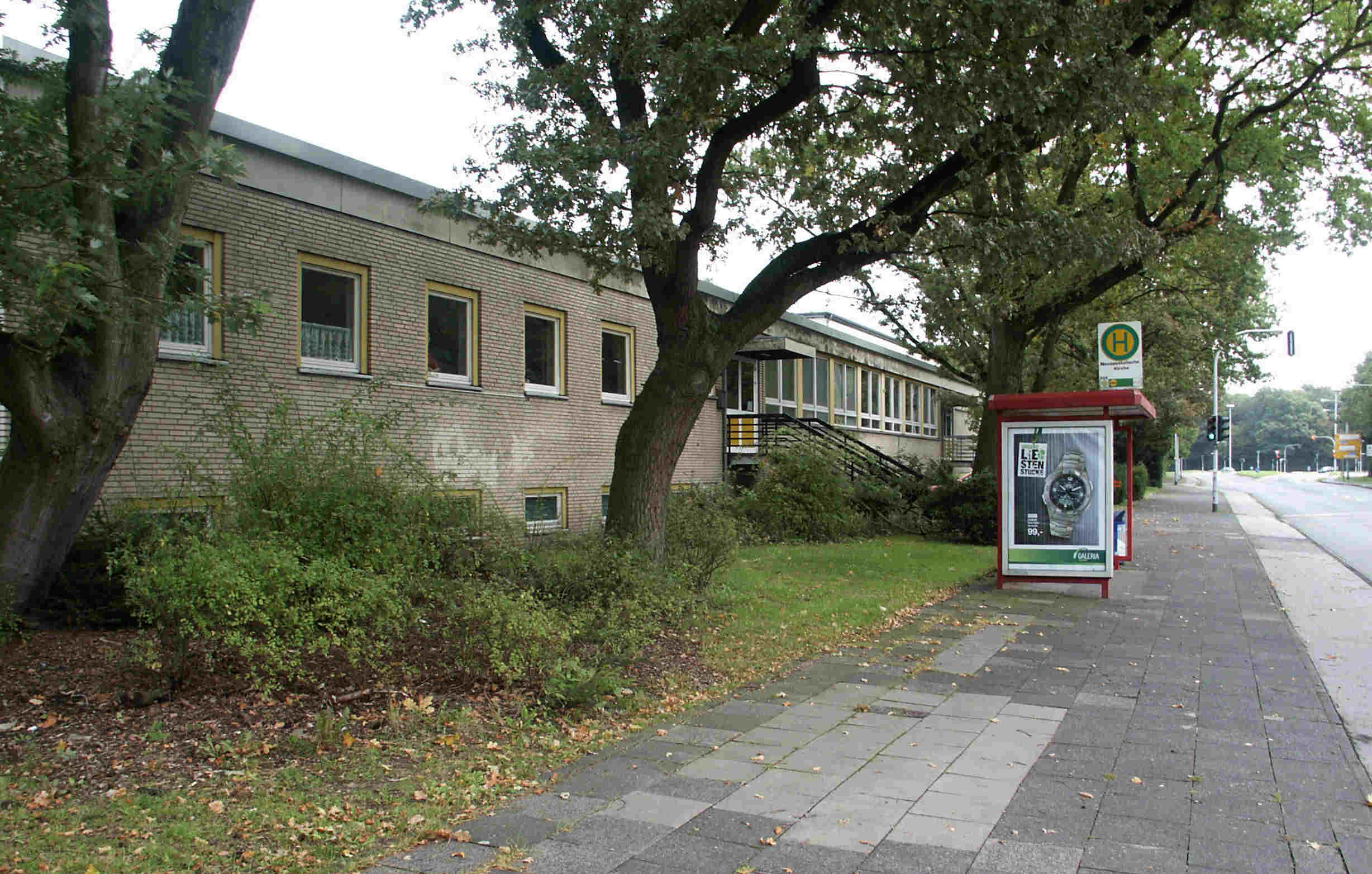 Waldschule Waldschule